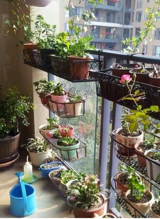 盆栽花架子阳台家用 20161201143447_9020.jpg