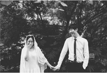 婚纱甲醛_除甲醛图片