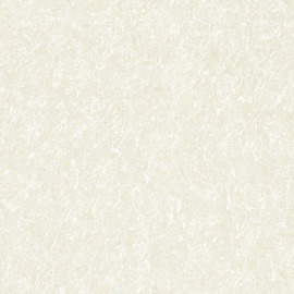 新贵族