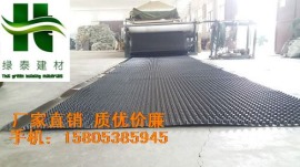 泰安绿泰&聊城3公分1公分车库专用排水板送货