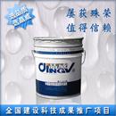 国标水泥基渗透结晶防水涂料
